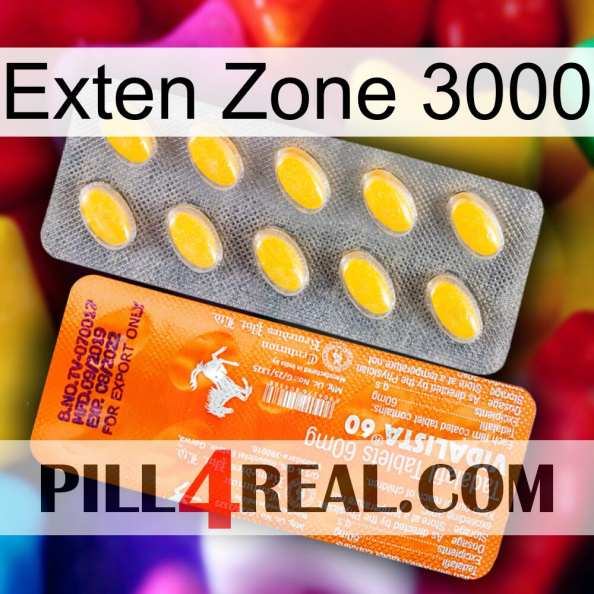 Exten Zone 3000 new05.jpg